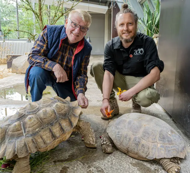 Norbert Schilff und Marcel Stawinoga hocken im Schildkrötenhaus vor zwei Schildkröten