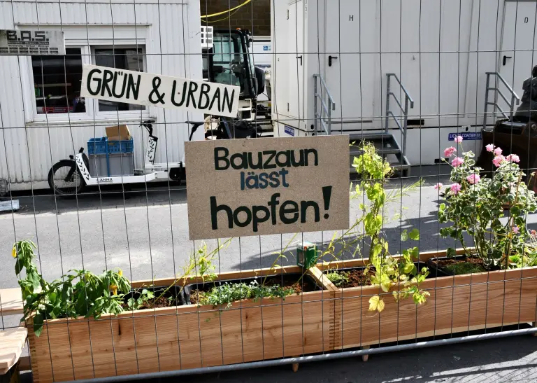 Ein Bauzaun mit einem Pflanzkübel davor, dort wächst unter anderem Hopfen. Am Zaun hängt ein Schild mit der Aufschrift "Bauzaun lässt Hopfen".