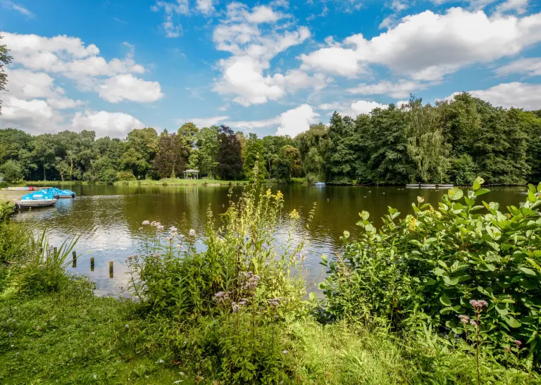 Teich im Rombergpark