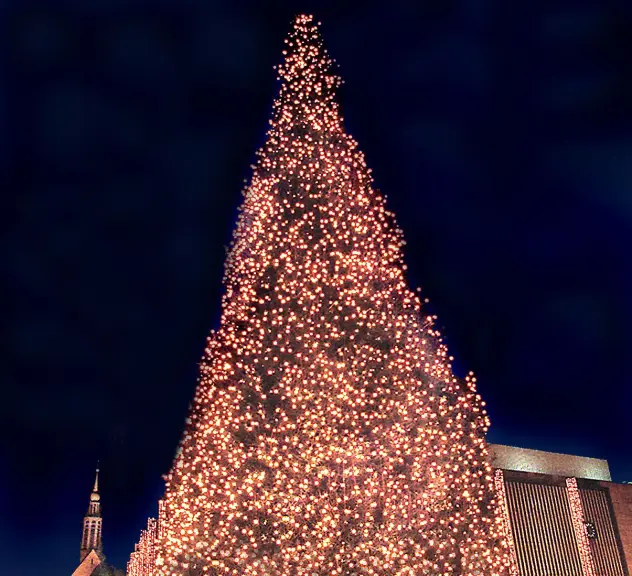 Der größte Weihnachtsbaum der Welt 1996