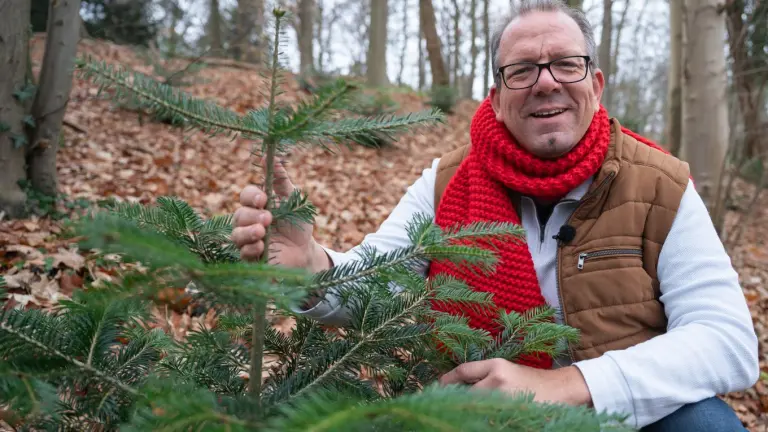 Direktor des Botanischen Gartens Rombergpark Patrick Knopf mit Nordmann-Tanne