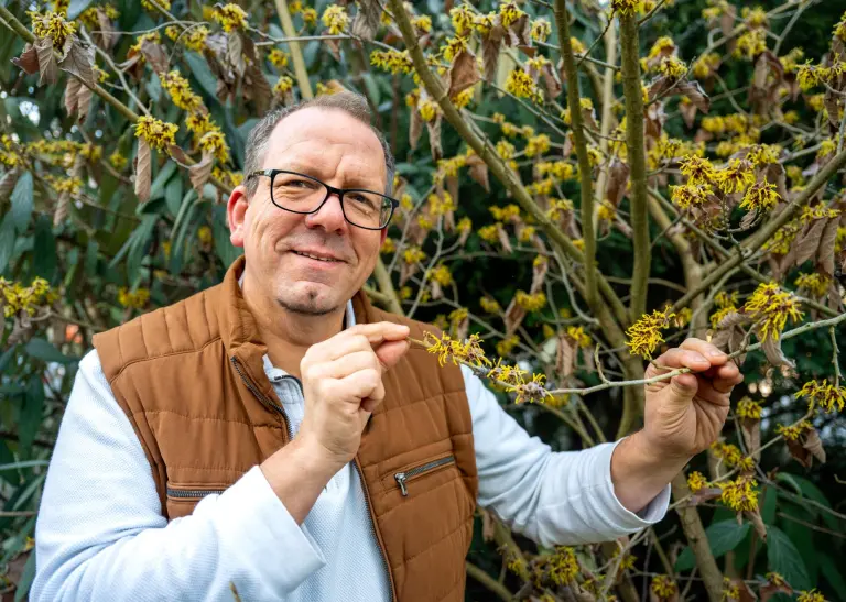 Dr. Knopf präsentiert die Zaubernuss