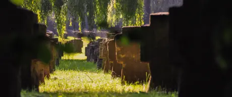 Grabsteine auf dem Aplerbecker Friedhof