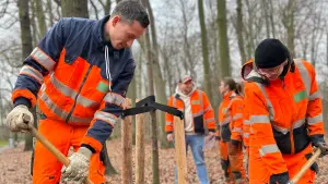 Damit der Jungbaum gut angehen kann, haben Auszubildende des Grünflächenamts ihn am Dienstag sorgfältig eingepflanzt. Gespendet hat der Freundeskreis Fredenbaumpark e.V. die Mehlbeere. Sie erweitert den Bestand der Jahres-Bäume im Park.