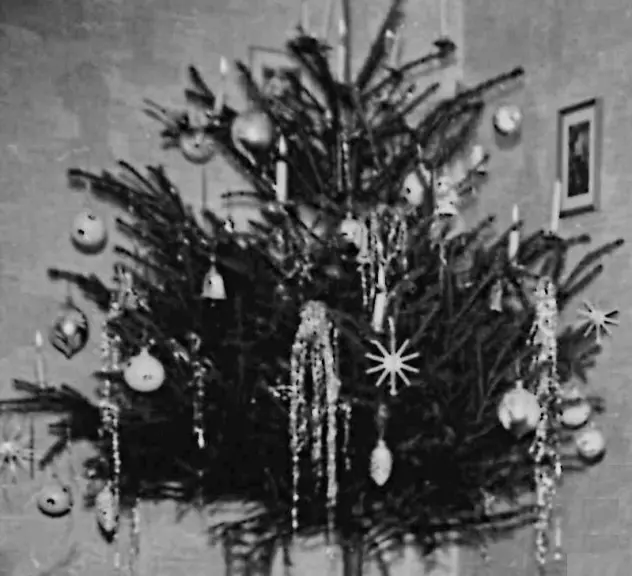 Eine historische Schwarz-Weiß-Fotografie eines festlich geschmückten Weihnachtsbaumes