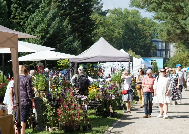 Besucherinnen beim Heidemarkt im Botanischen Garten Rombergpark