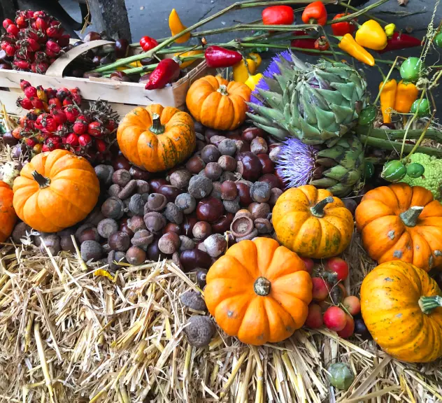 Herbstliche Dekoration aus Kürbissen, Kastanien und mehr beim Kastanienfest im Botanischen Garten Rombergpark