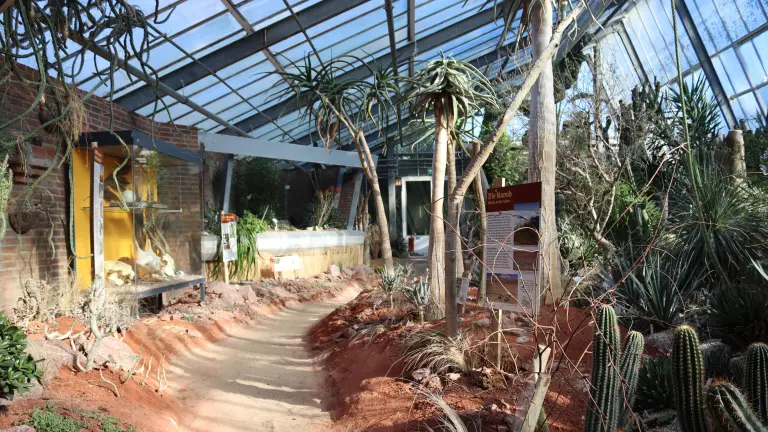 Die Namibia-Ausstellung in den Pflanzenschauhäusern des Botanischen Gartens Rombergpark