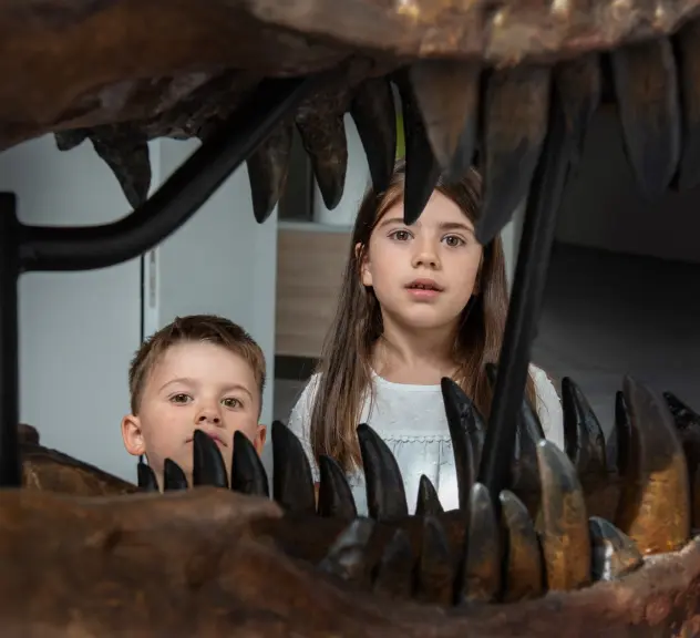 Ein Mädchen und ein kleinerer Junge schauen mit großen Augen durch das Skelett eines Dinosaurierkopfes mit großen Zähnen