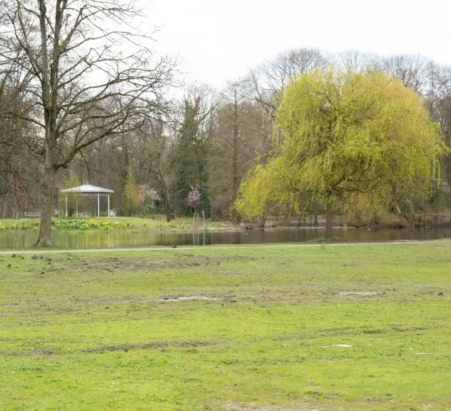 Aktuelle Aufnahme aus dem Park: bei Regen sammelt sich in der Senke der ehemaligen Planschwiese das Wasser. Im Hintergund sind Teich und Pavillon zu erkennen.