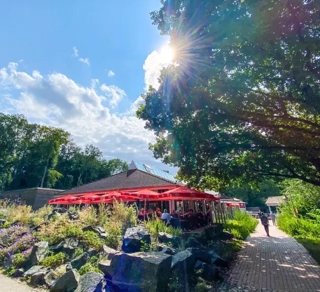 Außenperspektive auf die Terasse eines Restaurants mit roten Schirmen über den Tischen bei Sonnenschein 