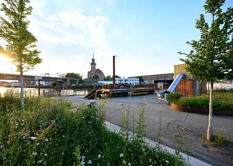 Begrünte Flächen und eine Rutsche säumen den Blick über das Hafenbecken zum Alten Hafenamt in Dortmund. 