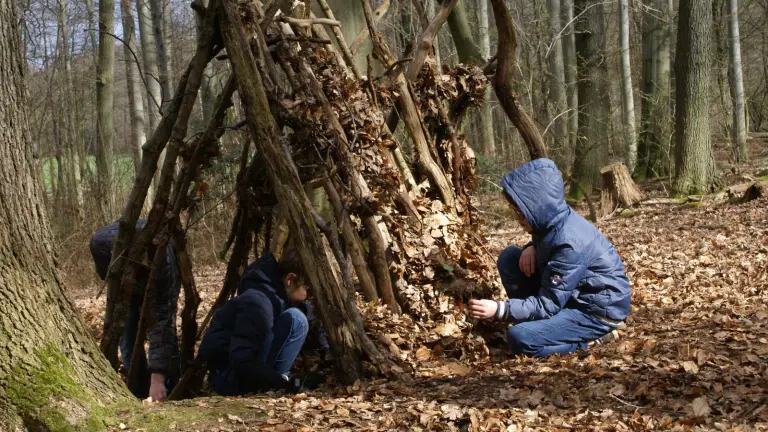 Tiere im Süggelwald