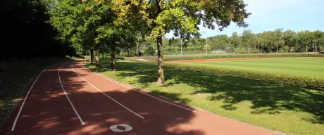 Laufbahn im Hoschpark in Dortmund