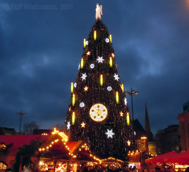 Weihnachtsbaum 2011 mit Meisterschale