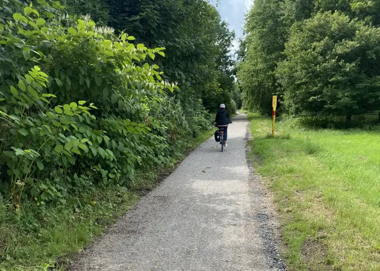 Radfahrender mit Helm von hinten. Fährt in der grünen und blühenden Natur auf einem geschotterten Radweg. 