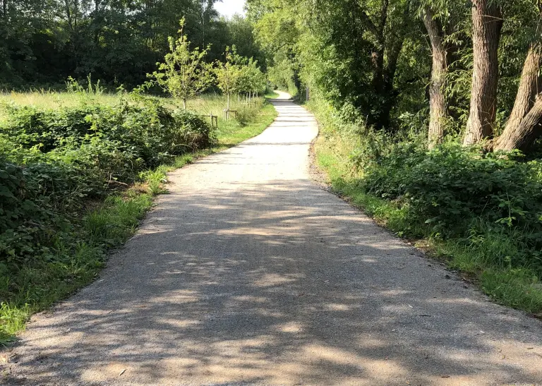 Geschotterter Weg in der Natur. Die Sonne scheint. Links und rechts des Weges ist es grün.