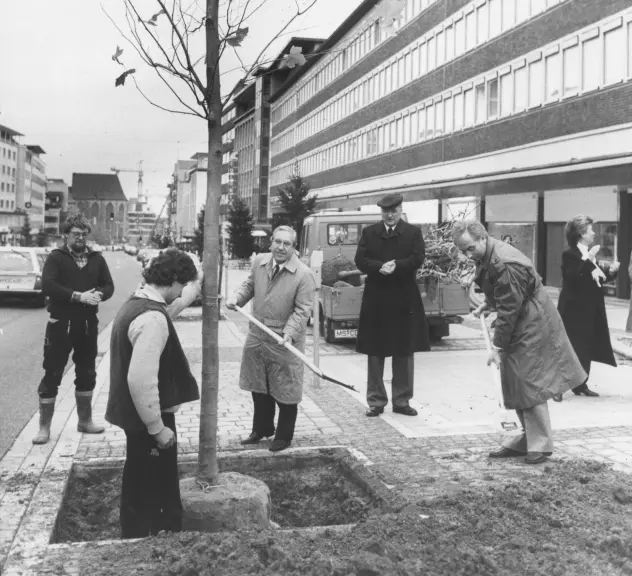 Stadtrat Hinz und die Ratsvertreter Weiermann und Hahn bei Baumpflanzung in der Kleppingstraße im Jahr 1986