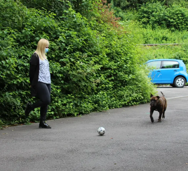 Eine Frau und ein Hund spielen auf der Straße mit einem Ball.