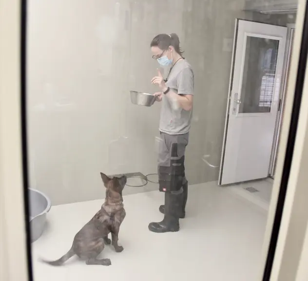 Eine Tierpflegerin steht mit einem Hund in einem Raum mit schlichten grauen Wänden. In der einen Hand hält sie einen Metallnapf, mit der anderen Hand hat sie den Zeigefinger ehoben. Der Hund sitzt davor und schaut die Tierpflegerin aufmerksam an.