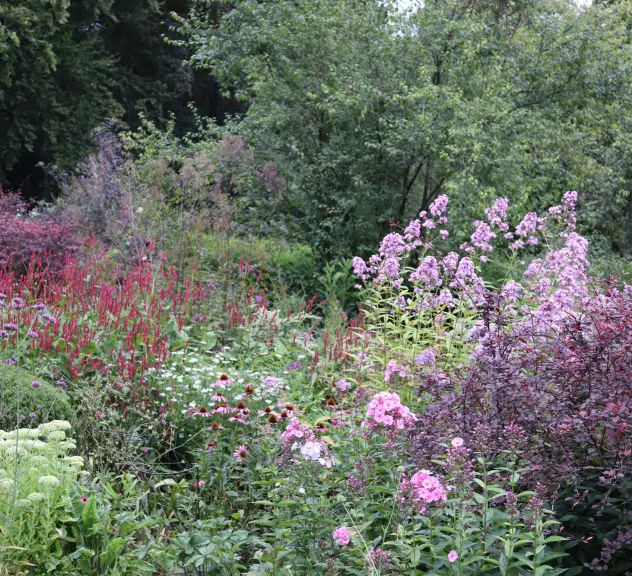 Verschiedene Stauden mit verschiedenfarbigen Blüten in einem Beet