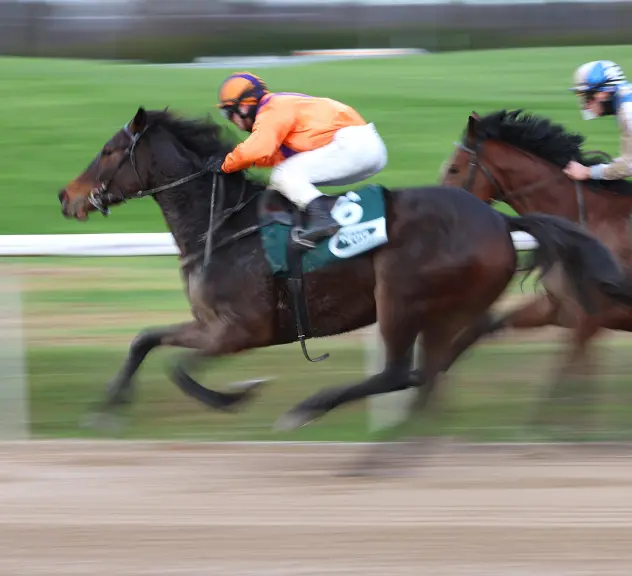 Zwei Rennpferde mit Jockeys