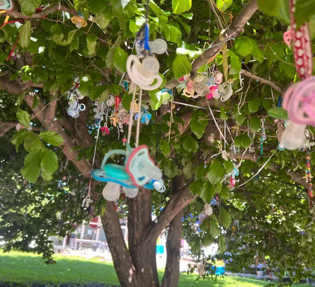 Viele Schnuller hängen in einem Baum