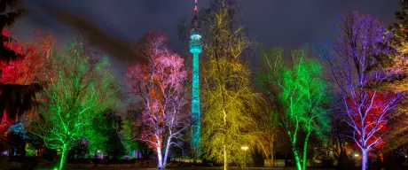 Bunt beleuchtete Bäume und der ebenfalls beleuchtete Fernsehturm im nächtlichen Westfalenpark.