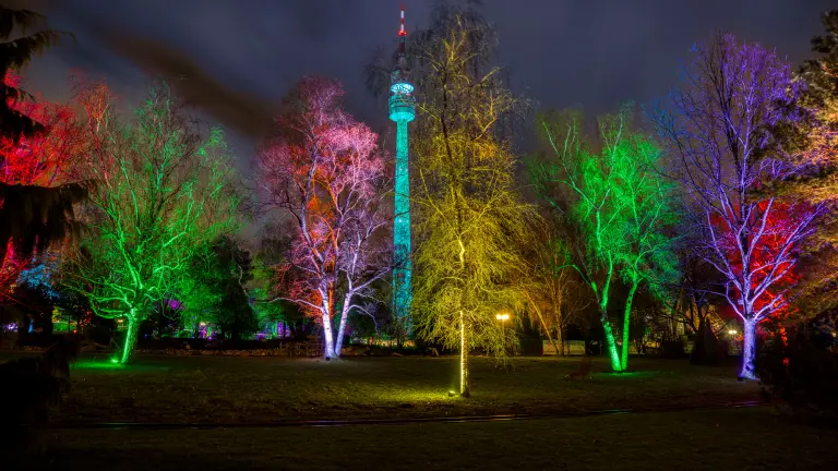 Bunt beleuchtete Bäume und der ebenfalls beleuchtete Fernsehturm im nächtlichen Westfalenpark.